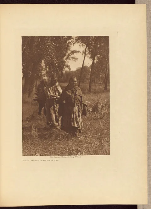 Edward S. Curtis, Wood Gatherers - Cheyenne