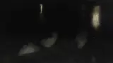 Józef Pankiewicz, Nocturne. Swans in the Saxon Garden in Warsaw by night.