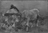 Heinrich von Zügel, Untitled