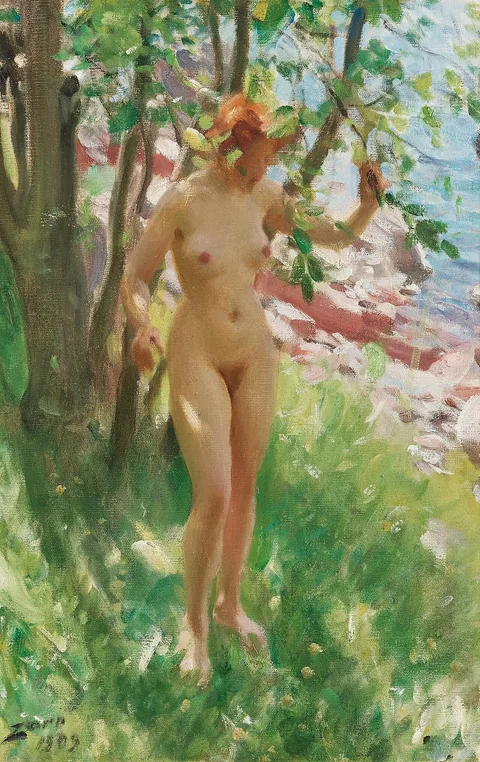 Anders Zorn, The Shadow