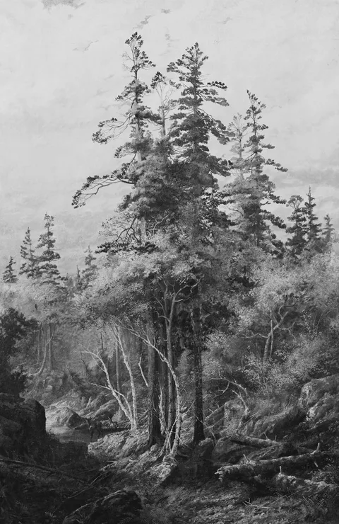 Thomas Mower Martin, "The Untouched Wilderness": the Untrodden Wilds of Canada