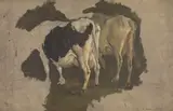 Anders Askevold, Study of two Cows, seen from behind