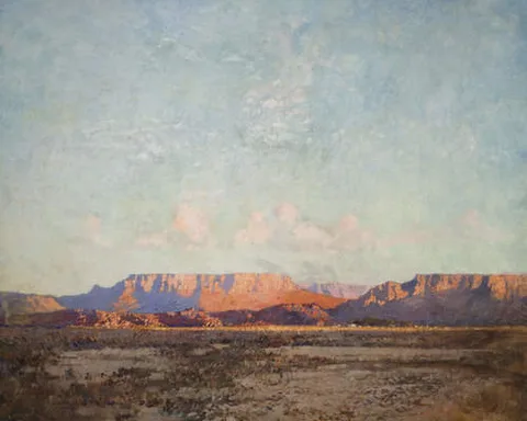 Robert Gwelo Goodman, The Karroo, Cape Of Good Hope At Evening