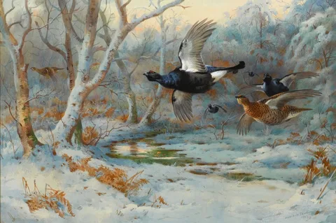 Archibald Thorburn, Black Grouse In Flight In A Winter Woodland