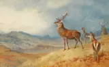 Archibald Thorburn, Red Deer In A Highland Landscape