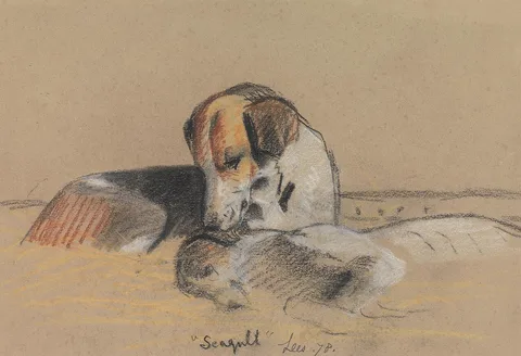 Archibald Thorburn, Hounds: "Seagull"