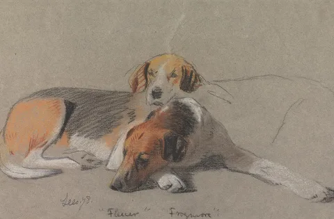 Archibald Thorburn, Hounds: "Fleur" and "Frogmore"