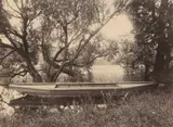 Eugène Atget, Étang de Corot, Ville-d'Avray (Corot's Pond, Ville-d'Avray)