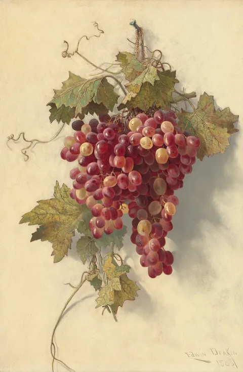 Edwin Deakin, Grapes Against White Wall