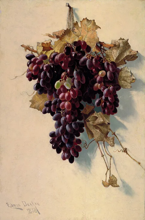Edwin Deakin, Still Life with Grapes