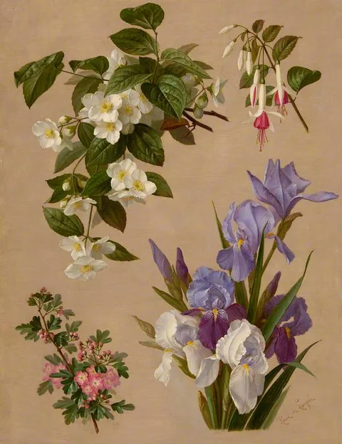 Paul de Longpré, Iris, fuchsia, and other flowering plants