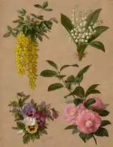 Paul de Longpré, Lily of the valley, camellia, pansy, and laburnum