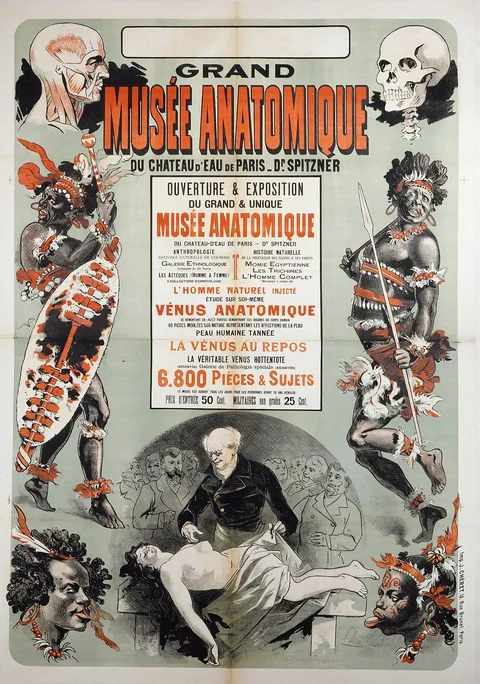 Jules Chéret, Grand Musée anatomique du château d'Eau de Paris - Dr Spitzner