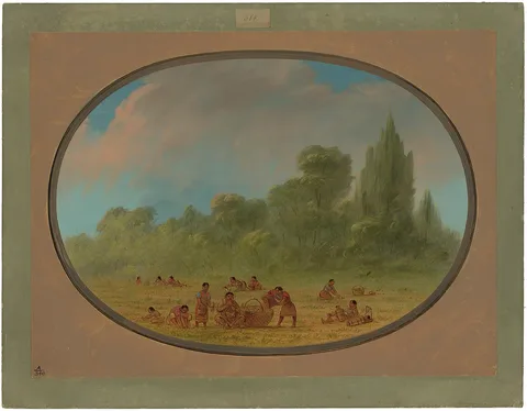 George Catlin, Caddoe Indians Gathering Wild Strawberries