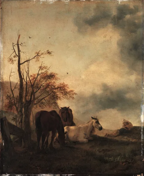 Philips Wouwerman, Three Horses in a Meadow
