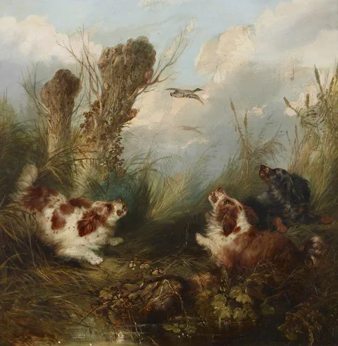 George Armfield, Three Spaniels putting up a Brace of Mallard