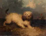 George Armfield, A Dog