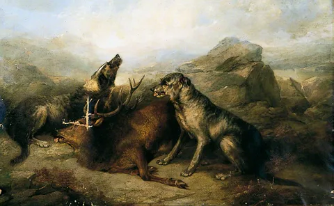 George Armfield, Stag and Dogs