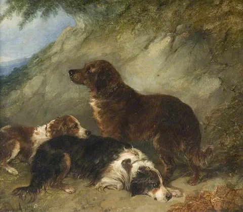 George Armfield, Dogs