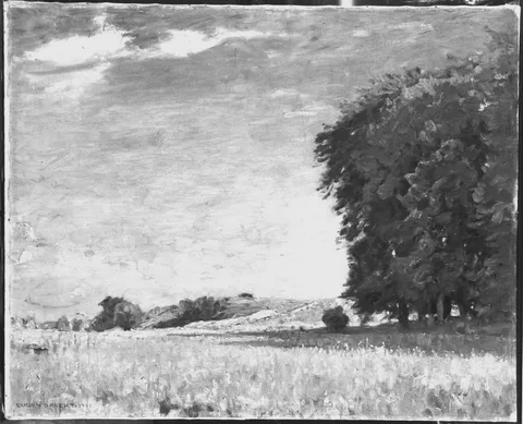 Eugen Bracht, Untitled