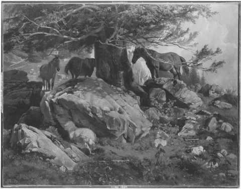Friedrich Voltz, Untitled