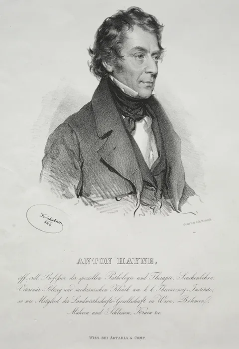 Josef Kriehuber, Portrait of Dr. Anton Hayne