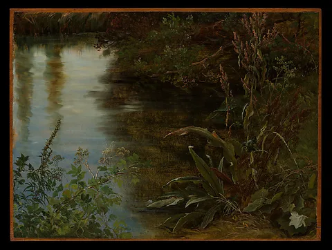 Thomas Fearnley, Study of Water and Plants