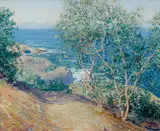 Guy Rose, Indian Tobacco Trees, La Jolla