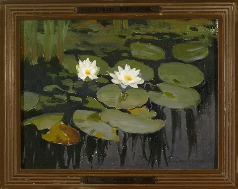 Teodor Ziomek, Water lilies