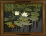 Teodor Ziomek, Water lilies