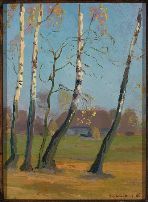 Teodor Ziomek, Birch trees near a village