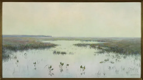 Teodor Ziomek, Dawn over water – Marshes