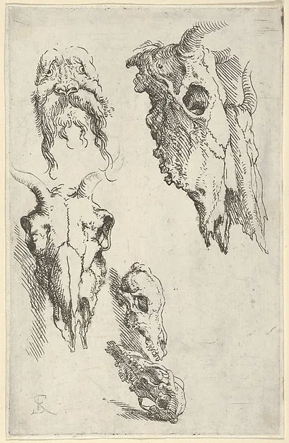 Salvator Rosa, Three ox skulls, two horse skulls, and a grotesque head, study for "Democritus in Meditation"