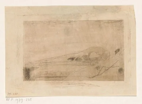 Jan Mankes, Vogelschedel