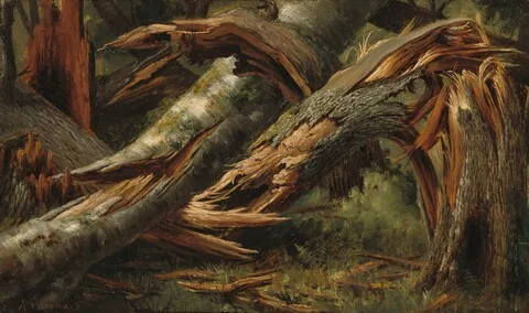 Alexandre Calame, Fallen Tree
