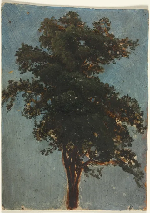 Alexandre Calame, Tree Study