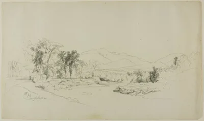 David Johnson, July - Mount Lafayette, N.H.