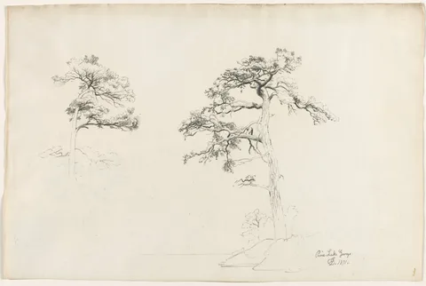 David Johnson, Pine, Lake George