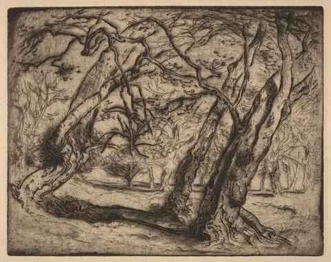 Samuel Colman, Untitled (Wooded Landscape)
