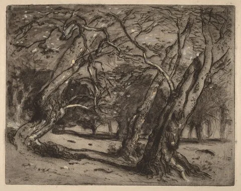 Samuel Colman, Untitled (Wooded Landscape)