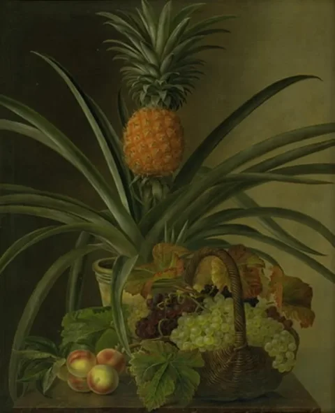 Johan Laurentz Jensen, En ananas og andre frugter