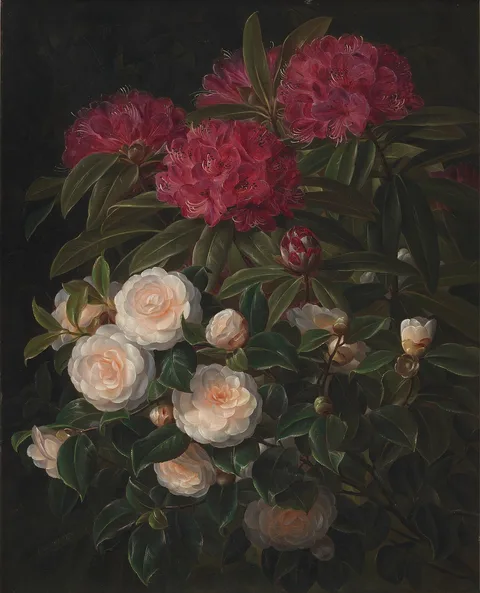 Johan Laurentz Jensen, Kamelier og rhododendron