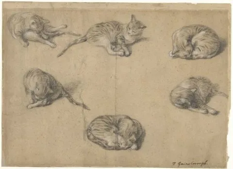 Thomas Gainsborough, Six Studies of a Cat