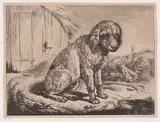 Johann Adam Klein, Sitting Dog