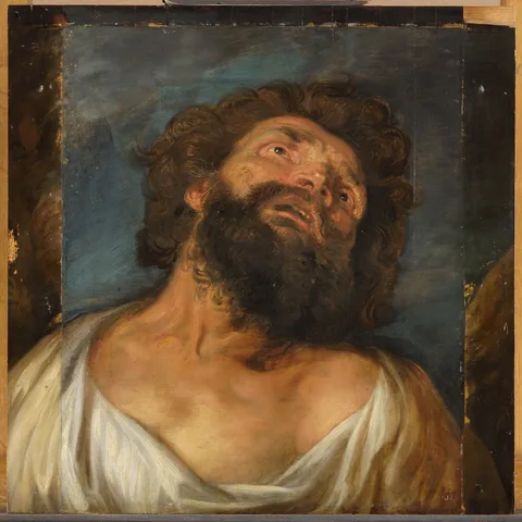 Sir Anthony Van Dyck, Study for a thief