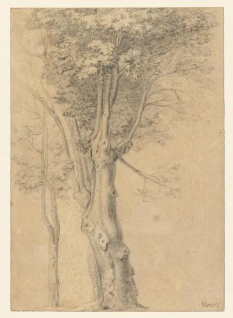 Joseph Vernet, Boomstudies