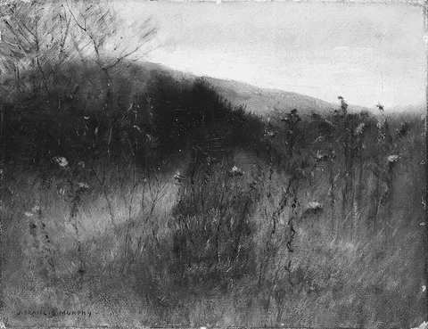 John Francis Murphy, Landscape