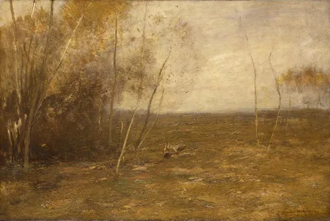 John Francis Murphy, The Sprout Lot