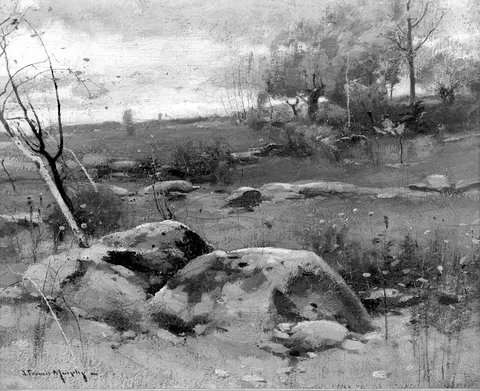John Francis Murphy, Rocky Fields