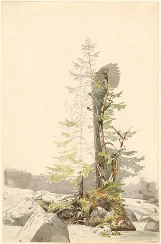 Carl Morgenstern, A Clump of Trees by a Rocky Stream in the Ramsau